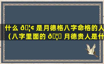 什么 🦢 是月德格八字命格的人（八字里面的 🦊 月德贵人是什么意思）